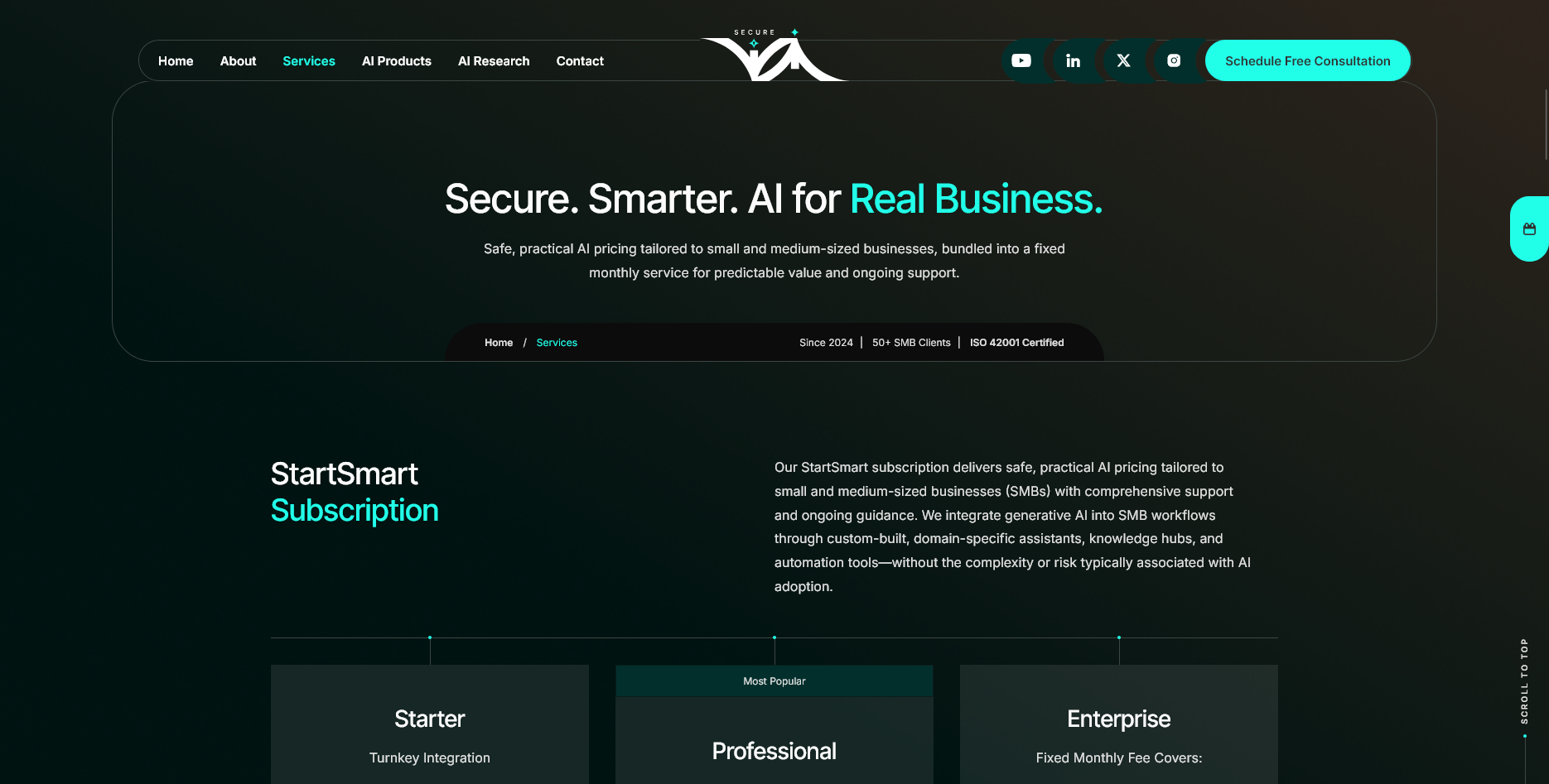 New SecureIVAI services, Starter, Professional, Enterprise pricing